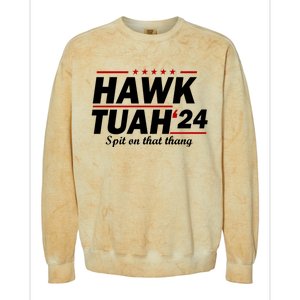 Hawk Tuah 24 Spit On That Thang Hawk Tush For President 2024 Election Parody Colorblast Crewneck Sweatshirt