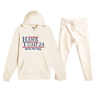 Hawk Tuah 24 Spit On That Thang Premium Hooded Sweatsuit Set