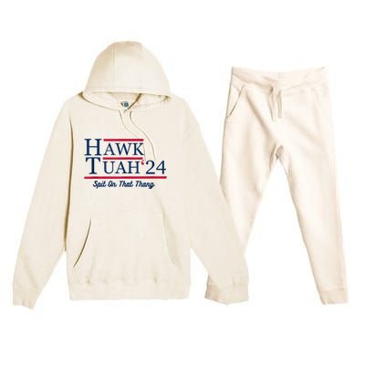 Hawk Tuah 24 Spit On That Premium Hooded Sweatsuit Set