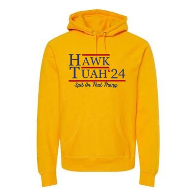 Hawk Tuah 24 Spit On That Thang Premium Hoodie