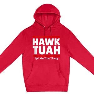 Hawk Tuah 24 Spit On That Thang Premium Pullover Hoodie