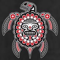Haida Turtle American Indian Native America Indigenous 7 Panel Mesh Trucker Snapback Hat