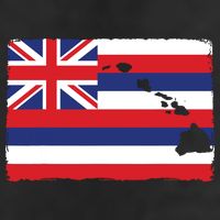 Hawaii The Aloha State Flag By Hawaii Nei All Day Tumbler