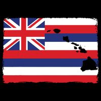 Hawaii The Aloha State Flag By Hawaii Nei All Day Youth Performance Sprint T-Shirt