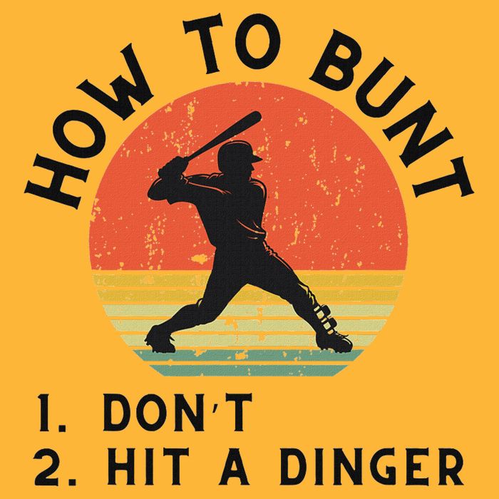 How To Bunt DonT Hit A Dinger Baseball Player Pom Pom 12in Knit Beanie
