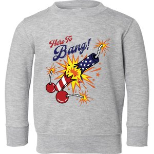 Here To Bang 4th Of July Fun 4th Of July Firework Patriotic Toddler Sweatshirt