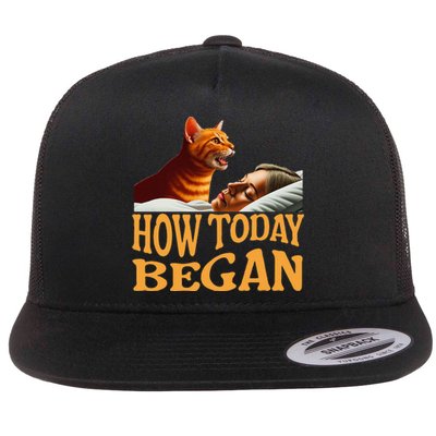 How Today Began Cat Woke Me Early Again Cat Alarm Flat Bill Trucker Hat