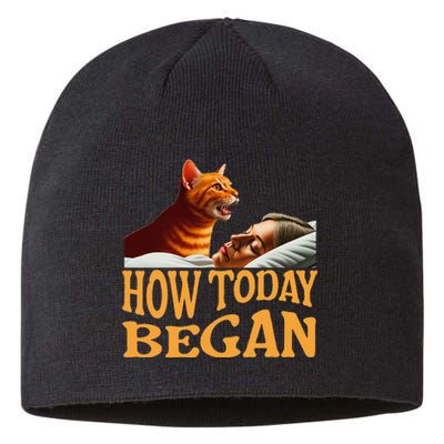 How Today Began Cat Woke Me Early Again Cat Alarm Sustainable Beanie