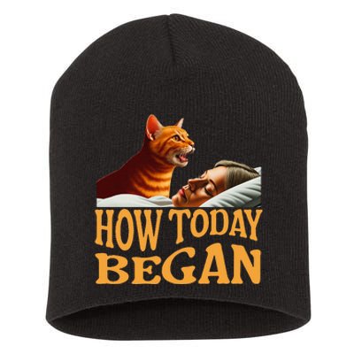 How Today Began Cat Woke Me Early Again Cat Alarm Short Acrylic Beanie