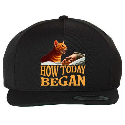 How Today Began Cat Woke Me Early Again Cat Alarm Wool Snapback Cap