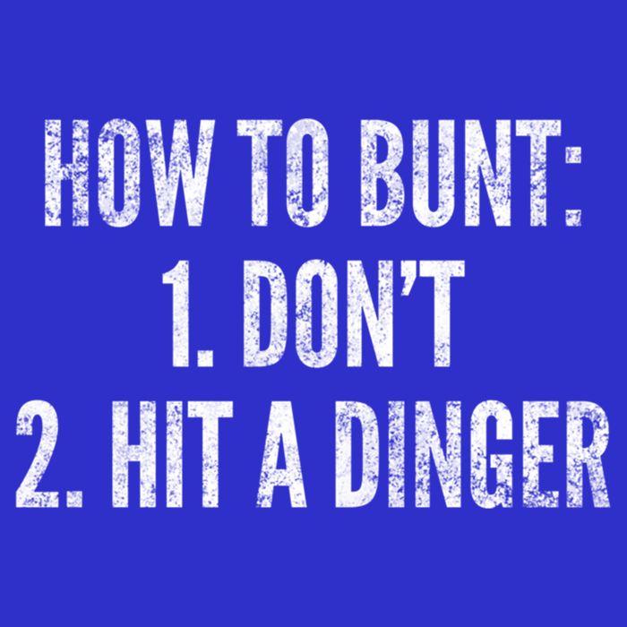 How To Bunt Hit A Dinger Funny Baseball Player Home Run Fun Gift 16 in Basic Backpack