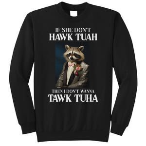 Hawk Tush Candidate If She DonT Hawk Tuah I DonT Tawk Tuha Sweatshirt