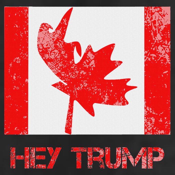 Hey Trump Canada Beanie