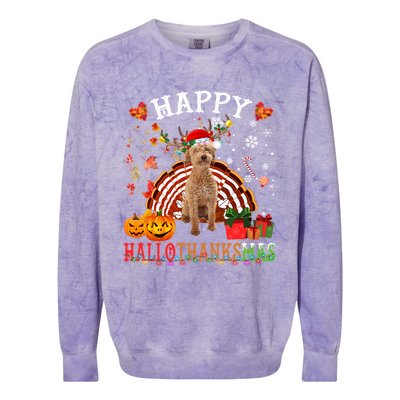 Halloween Thanksgiving Christmas Poodle Crossbreed Xmas Cute Gift Colorblast Crewneck Sweatshirt