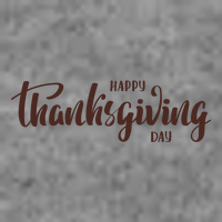 Happy Thanksgiving Day Holiday Toddler Hoodie