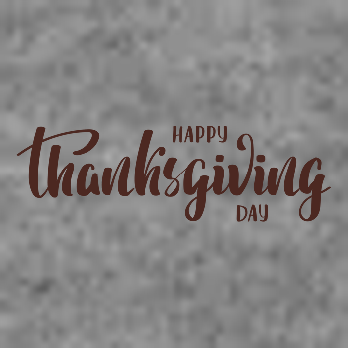 Happy Thanksgiving Day Holiday Toddler Hoodie