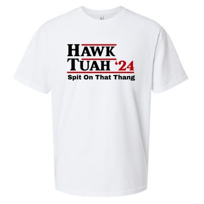 Hawk Tuah Funny Saying Sueded Cloud Jersey T-Shirt