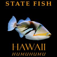 Hawaii Territory Fish The Humuhumu Sustainable Bucket Hat