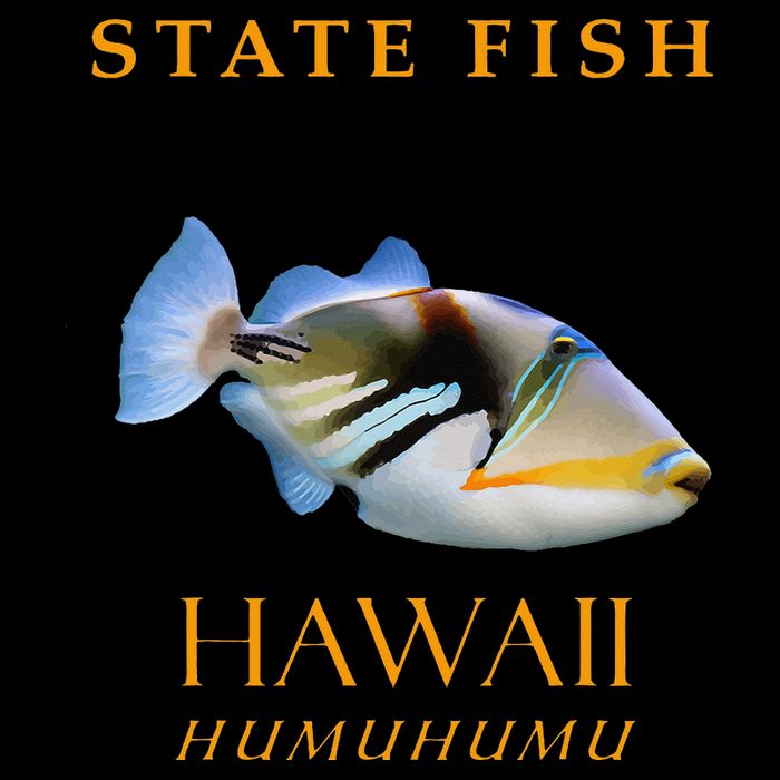 Hawaii Territory Fish The Humuhumu Sustainable Bucket Hat