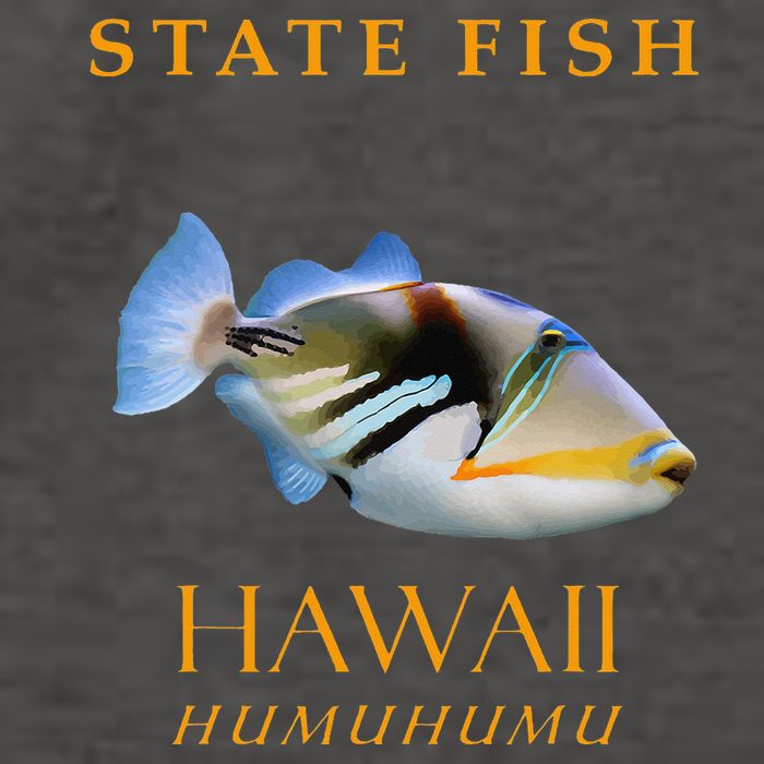 Hawaii Territory Fish The Humuhumu Vector Backpack