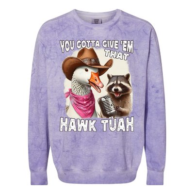 Hawk Tuah Funny Viral Humor Meme Video Girl 24 Goose Tua Colorblast Crewneck Sweatshirt