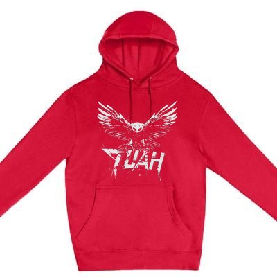 Hawk Tuah Guy Spit Joke Wet That Thang Splash Down Premium Pullover Hoodie