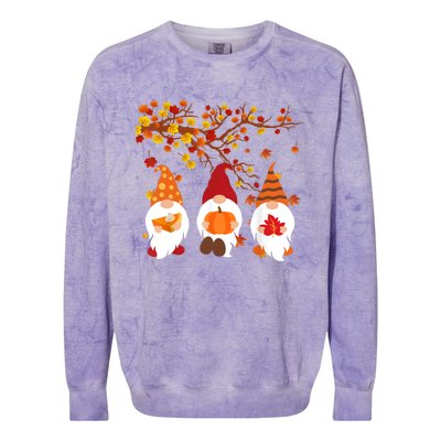 Halloween Three Gnomes Hat Leopard Pumpkin Fall Leaves Cool Gift Colorblast Crewneck Sweatshirt