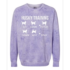 Husky Training Husky Dog Tricks Colorblast Crewneck Sweatshirt