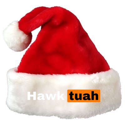 Hawk Tuah Premium Christmas Santa Hat