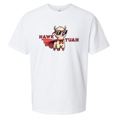 Hawk Tuah Sueded Cloud Jersey T-Shirt