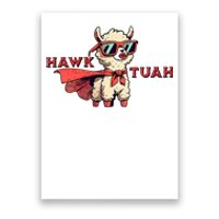 Hawk Tuah Poster