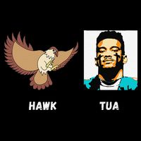 Hawk Tua 7-Panel Snapback Hat