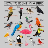 How To Identify A Bird Birds Lover Nature Birdwatcher Tie-Dye T-Shirt