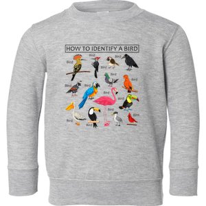 How To Identify A Bird Birds Lover Nature Birdwatcher Toddler Sweatshirt