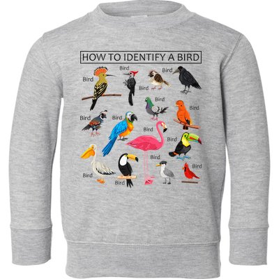How To Identify A Bird Birds Lover Nature Birdwatcher Toddler Sweatshirt