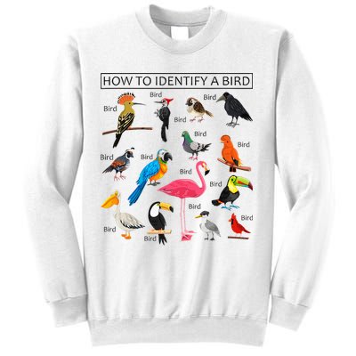 How To Identify A Bird Birds Lover Nature Birdwatcher Sweatshirt