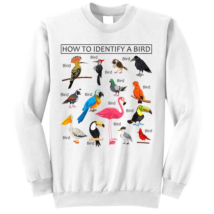 How To Identify A Bird Birds Lover Nature Birdwatcher Sweatshirt