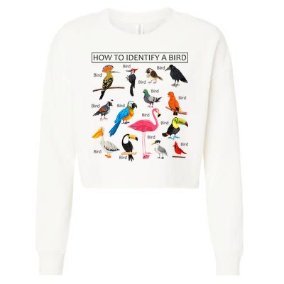 How To Identify A Bird Birds Lover Nature Birdwatcher Cropped Pullover Crew