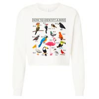 How To Identify A Bird Birds Lover Nature Birdwatcher Cropped Pullover Crew