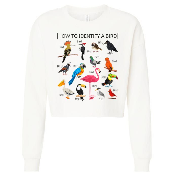 How To Identify A Bird Birds Lover Nature Birdwatcher Cropped Pullover Crew