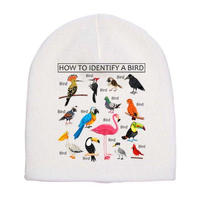 How To Identify A Bird Birds Lover Nature Birdwatcher Short Acrylic Beanie