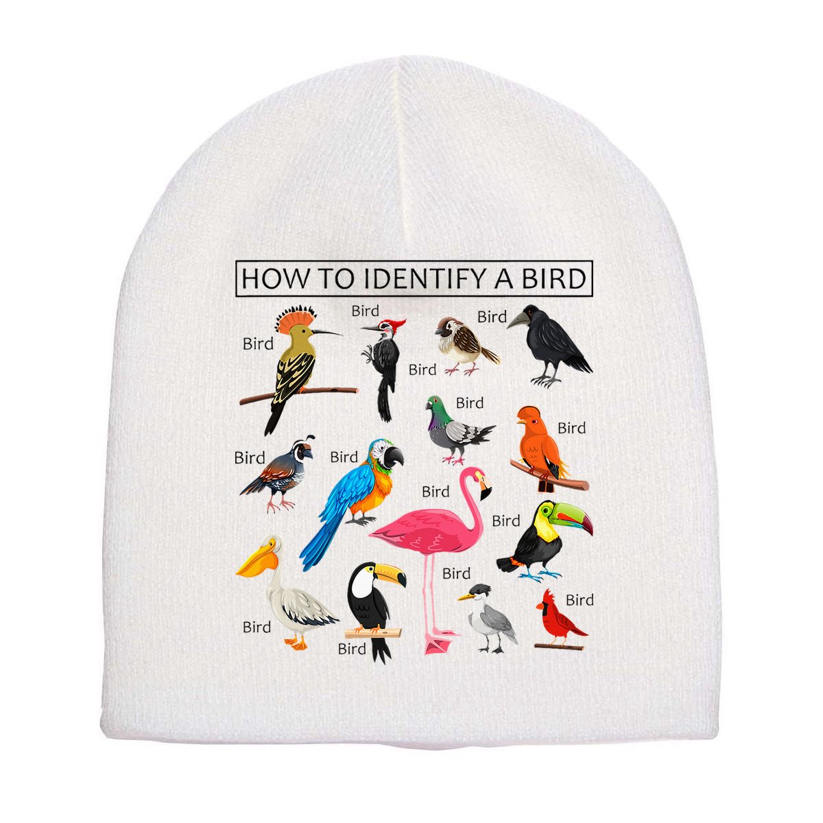 How To Identify A Bird Birds Lover Nature Birdwatcher Short Acrylic Beanie