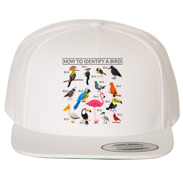 How To Identify A Bird Birds Lover Nature Birdwatcher Wool Snapback Cap
