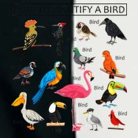 How To Identify A Bird Birds Lover Nature Birdwatcher Infant Baby Jersey Bodysuit