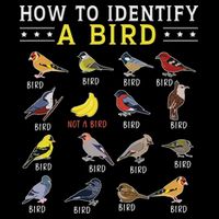How To Identify A Bird Bird Watcher Bird Lover 7-Panel Snapback Hat