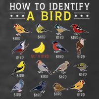 How To Identify A Bird Bird Watcher Bird Lover T-Shirt