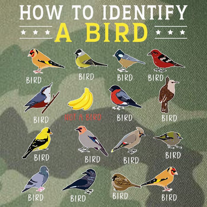 How To Identify A Bird Bird Watcher Bird Lover Legacy Tie Dye Trucker Hat