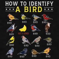How To Identify A Bird Bird Watcher Bird Lover Ladies PosiCharge Tri-Blend Wicking Tank