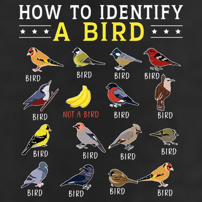 How To Identify A Bird Bird Watcher Bird Lover Garment-Dyed Fleece Hoodie