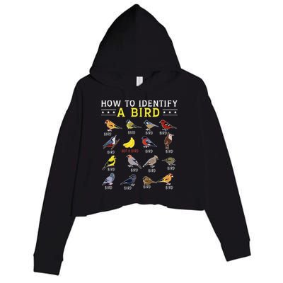 How To Identify A Bird Bird Watcher Bird Lover Crop Fleece Hoodie